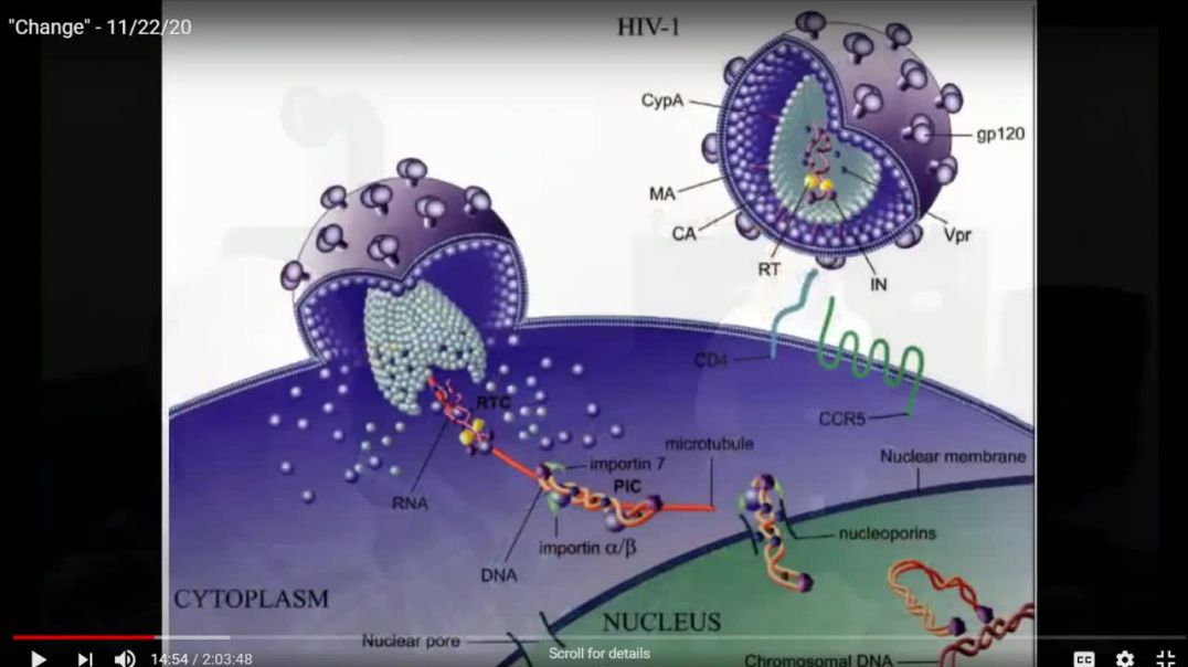 Binding Of Coronavirus and the HIV-1 Genome Inserts... MP4