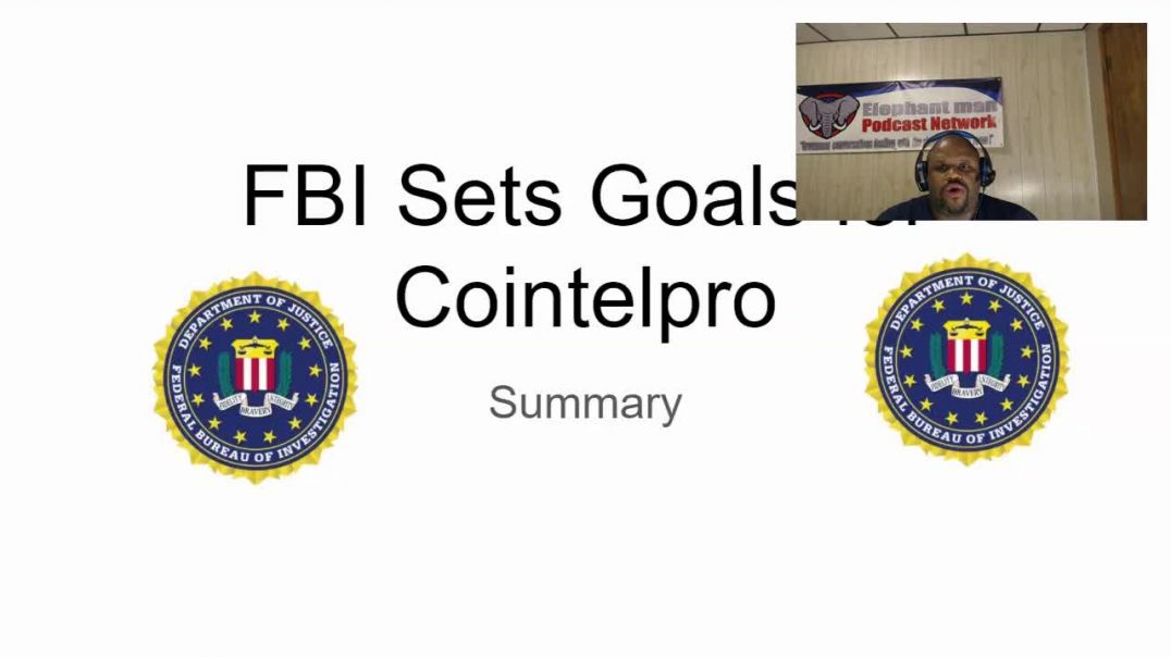 FBI Cointel Pro Summary