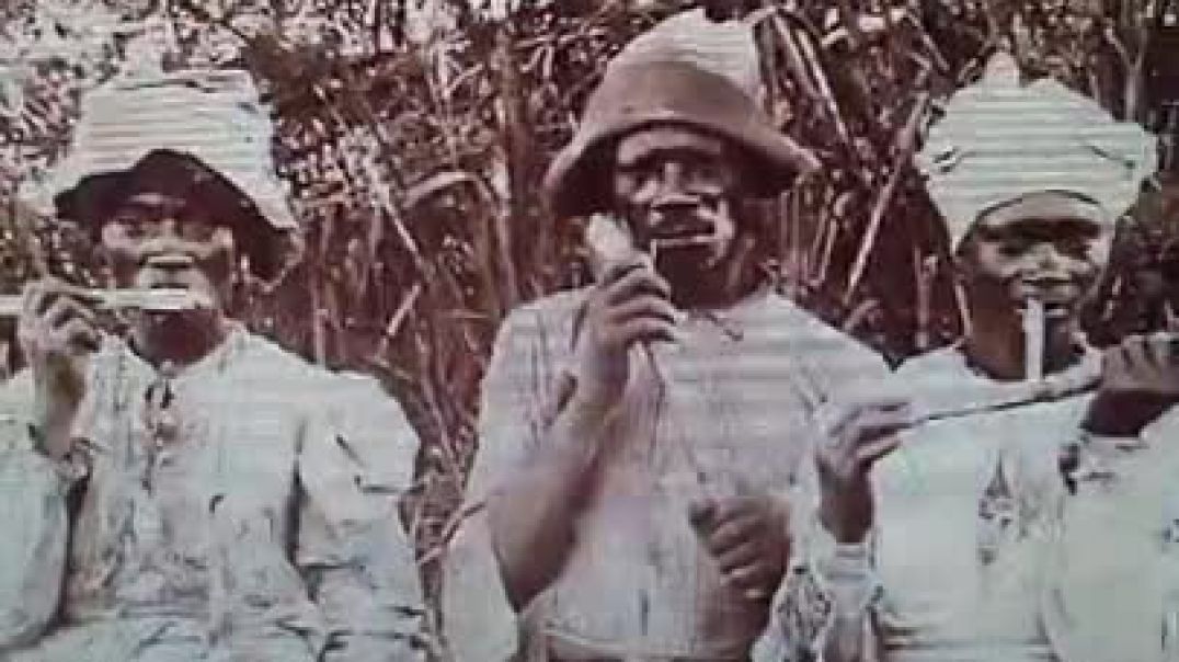 ⁣ADOS Negro Hebrews Israelites Christian Descendants of Slaves Exiles US America  Caribbean Reparatio