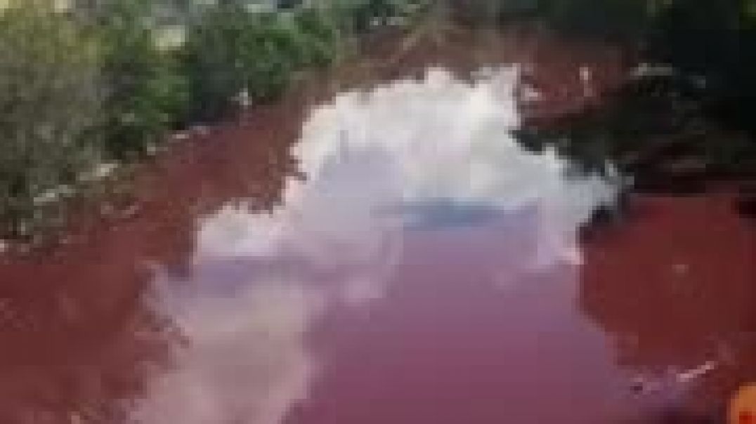 ⁣Port Maria Jamaica River Turns to blood red Numbers 35v33 Black rain falls in Japan, blood in Argent
