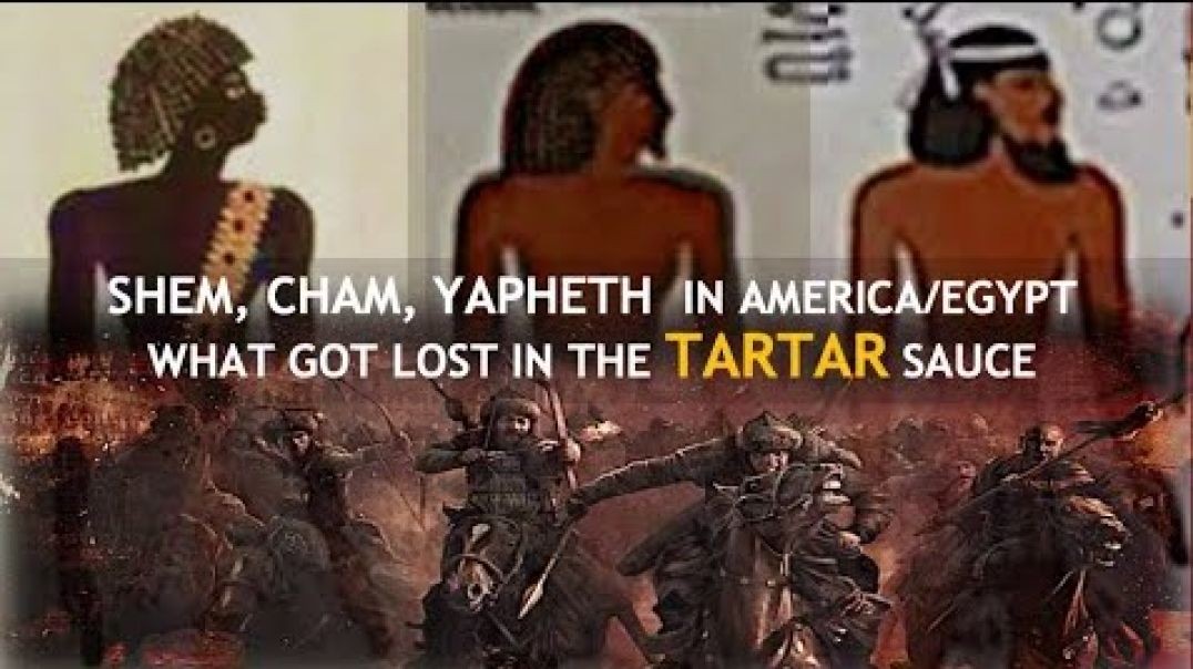 HAM'S LOT SHEM HAM YAPHETH   LOST IN  THE TARTAR SAUCE