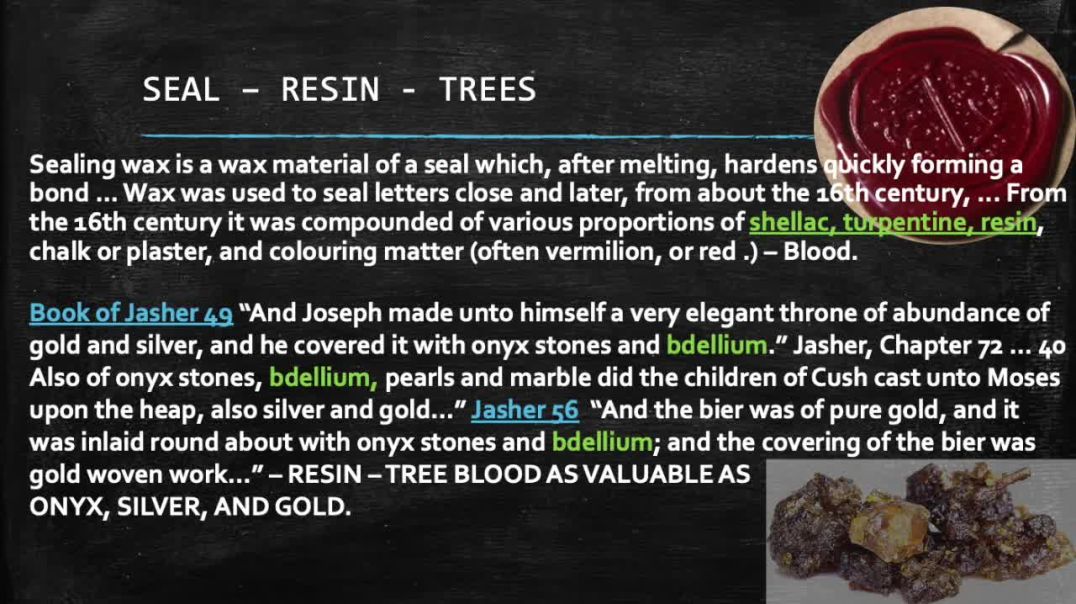 ⁣YAHUSHA THE GREAT TREE - WHY TREE BLOOD? TAUGHT FIRST AGAIN INTO ALL TRUTH