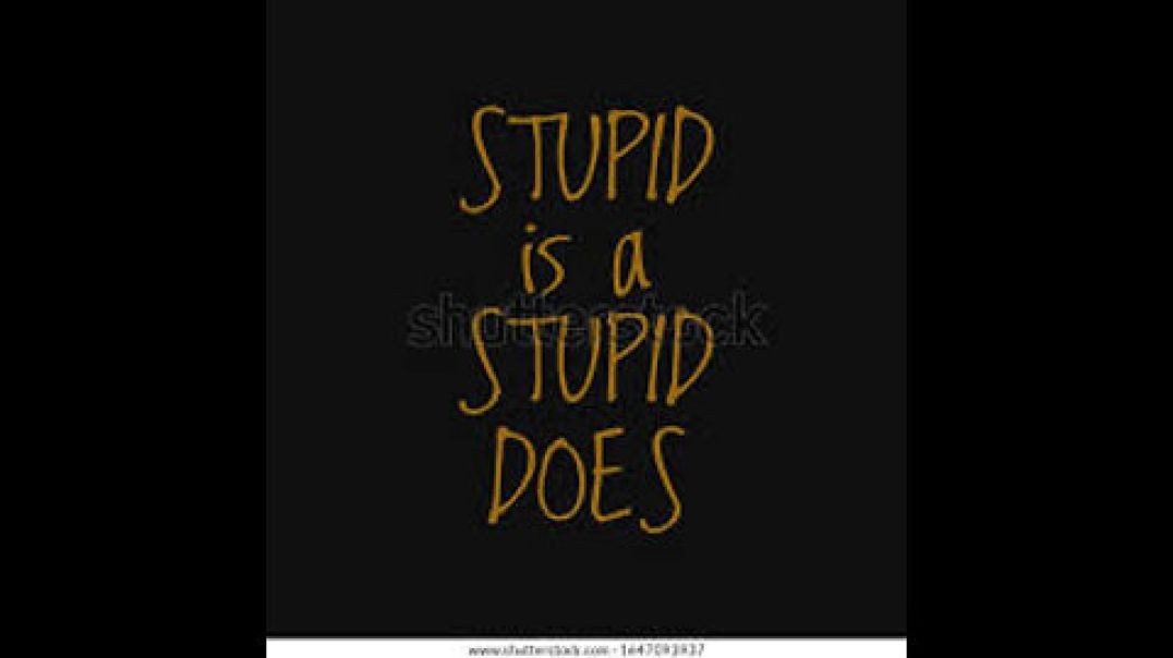 Stupid is Stupid Does - Reloaded - (NetMostWantedNewz)