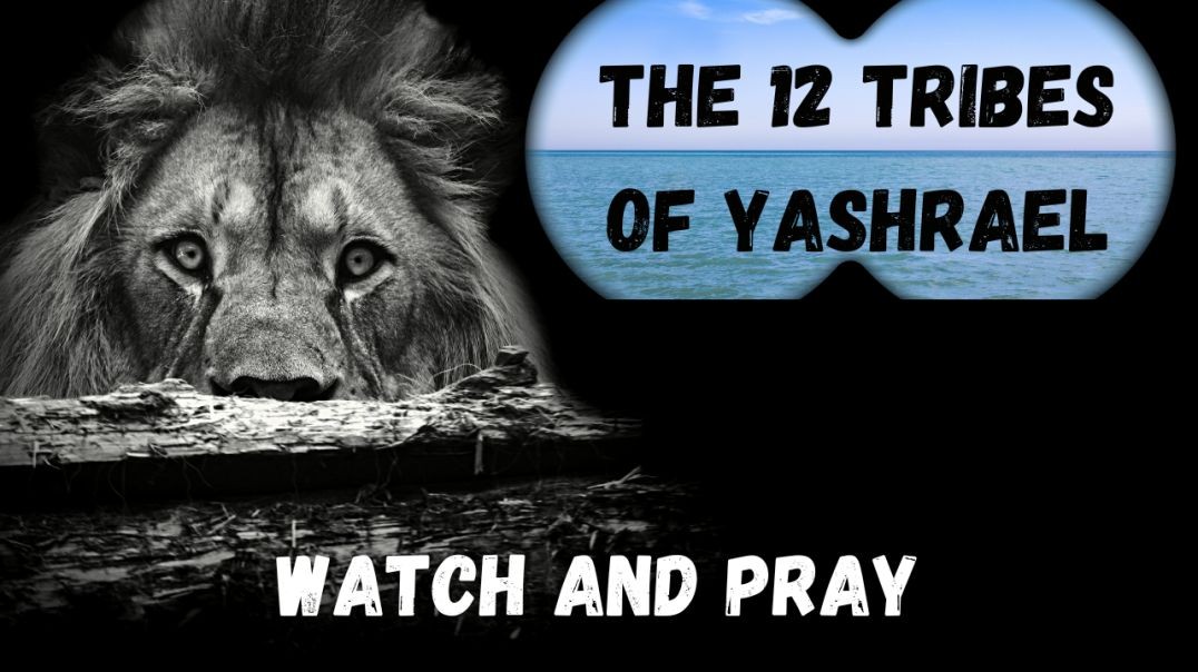 ⁣12 Tribes of Yashrael!