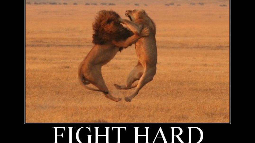 FIGHTING: ACCORDING TO SCRIPTURES [IS IT A SIN OR NOT], TURN THE OTHER CHEEK MEANING