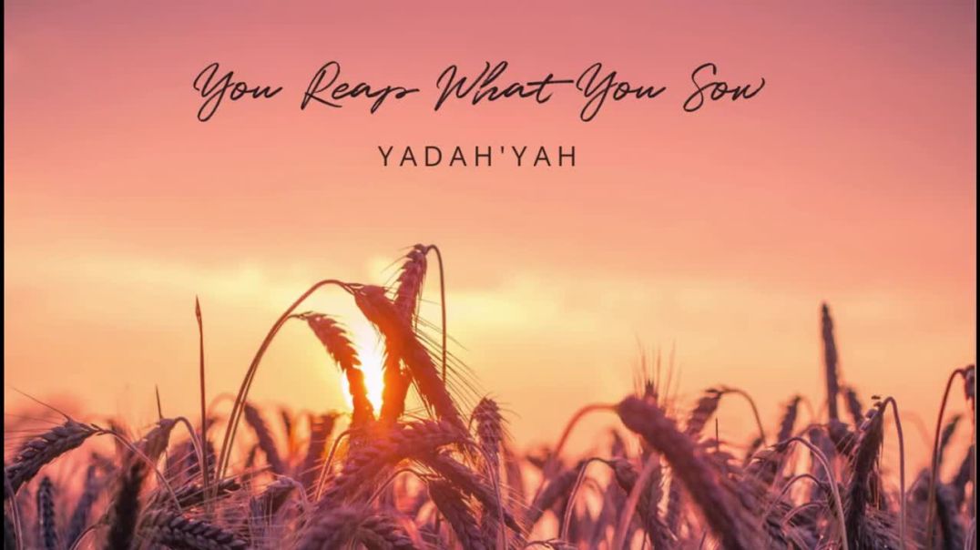 You Reap What You Sow - YadahYah