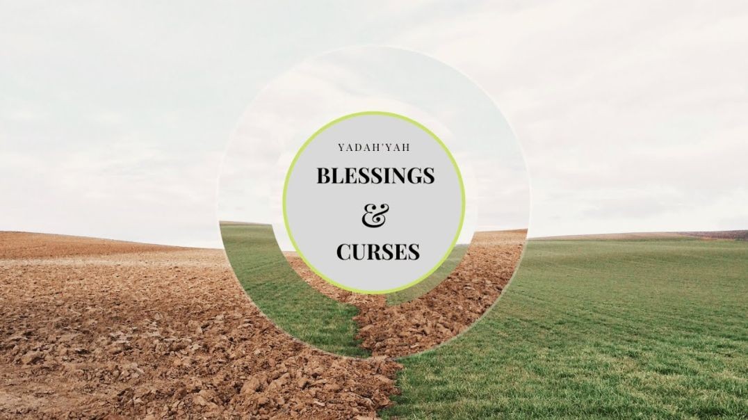 ⁣Blessings & Curses - YadahYah