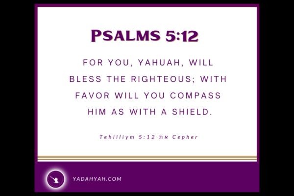 #WakeUpAndWorship Praise Yahuah! He blesses the righteous with favor! https://www.yadahyah.com/post/wake-up-worship-81 Read more