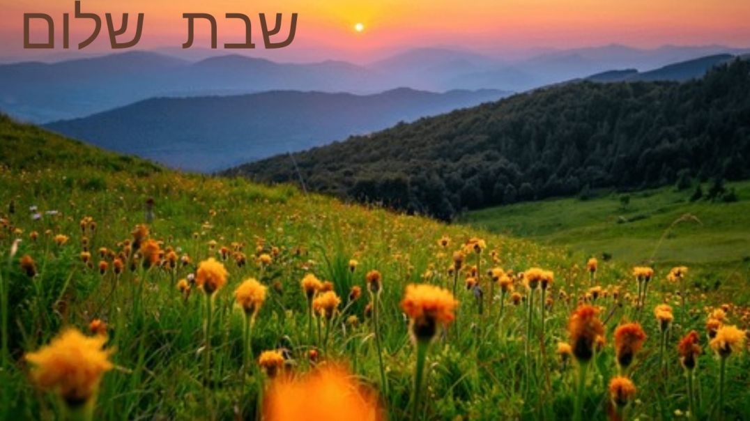 Shabbat Shalom/Shalawam