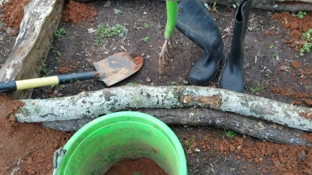 12 Year old makes raised bed, learn to grow food, cook, scale, season, fry fish plus tools child nee