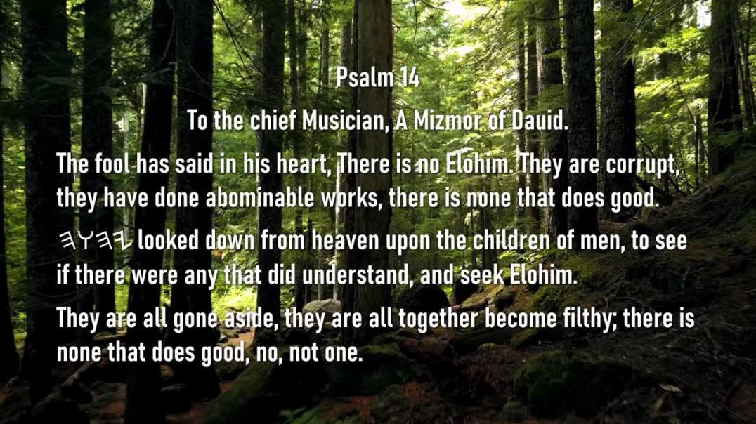 Tehilim - Psalm 14 Meditation