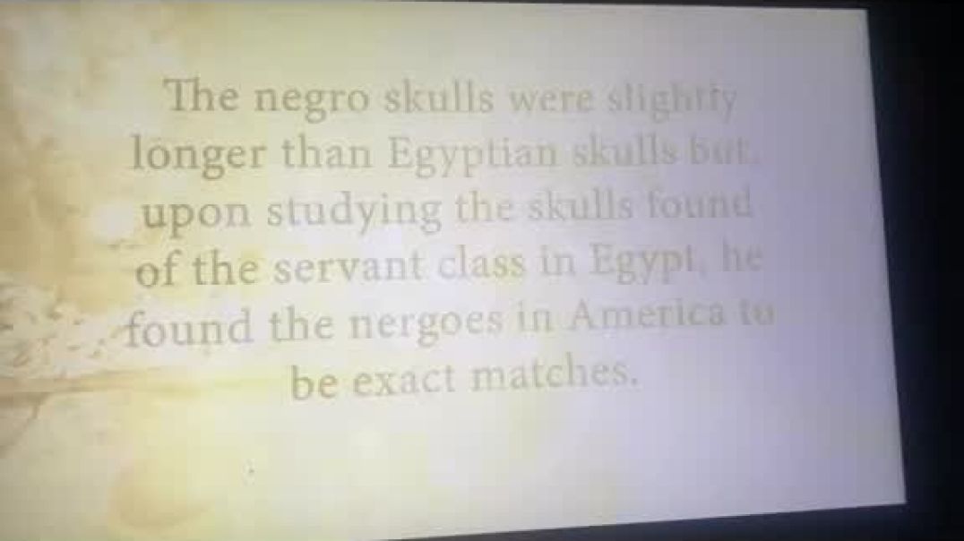 Negroid not Negro