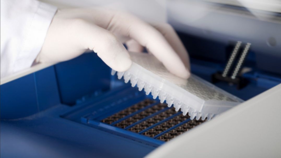 Patent PCR test may not be what you think...