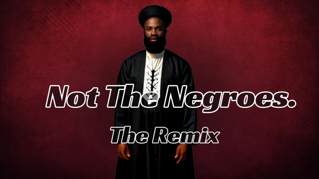 Not the Negroes The Remix