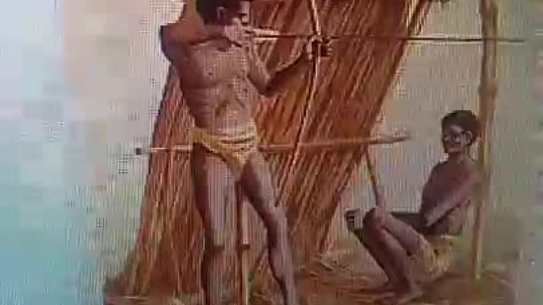 Aeta Negritoes Negrillos from the 12 Tribes Israel in Phillipines likeness to Cameroon Nigeria Jamai